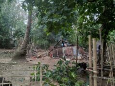 ကီးတရံး-ကြုၢ်တု ပှၤလီၢ်အိၣ်ကမှံဖိ လၢအကထိလိၣ်ဘၣ်ဂ့ၢ်ဂီၢ်အူတၢ်မၤစၢၤ