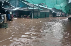 မဲၢ်လးဒဲကဝီၤမူခိၣ်စူၤထံဒိၣ်,ဟံၣ်ဟးဂီၤအဖျၢၣ်(၅၀)ဘျဲၣ်