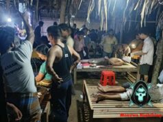 စကဲကီၢ်ခီဒိၣ် တီၤဖုၣ်ကၠိတၢ်လဲၤတ့ၢ်လီၤမ့ၣ်ပိၢ်အခါ ကမျၢၢ်သံ(၂၂)ဂၤ, ဘၣ်ဒိ(၅၅)ဂၤ