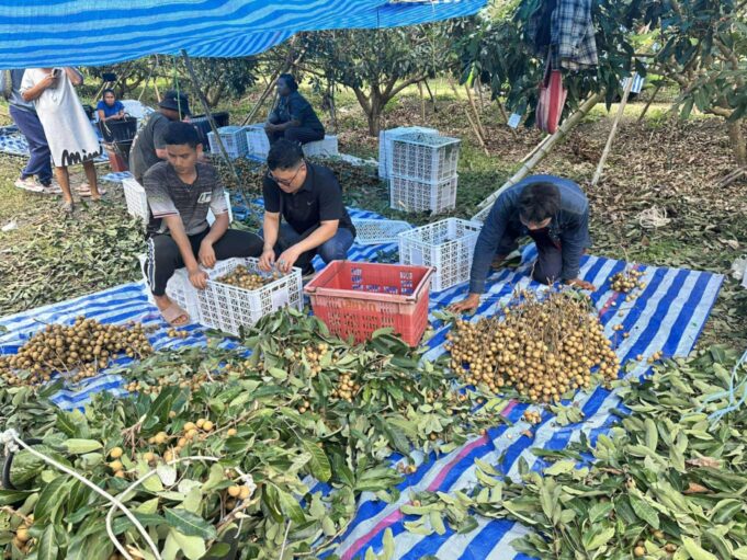 ကၠီၣ်တဲၣ်ခီပနံၣ်အဖျၢၣ်(၁၀)ကဟဲကိးကဒီးပှၤမၤတၢ်ဖိလၢမဲၢ်လးဒဲကဝီၤ,ပှၤဒဲကဝီၤဖိသးစၢၢ်စၢတၢ်ဖံးတၢ်မၤလီၤစှၤဝဲ
