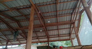 ကၠဲးထိၣ်ကီၢ်ဆၣ်ပူၤ ပယီၤသုးခးလီၤကျိဖးဒိၣ်အဃိ ကမျၢၢ်သံ(၁)ဂၤဒီးဟံၣ်ဟးဂီၤ(၁)ဖျၢၣ်