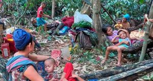 ကီၢ်ပယီၤပှၤဂ့ၢ်ဝီခွဲးယၥ်လီၤသြုးဆူတၢ်ဖီလၥ်အနးကတၢၢ်အသီတပတီၢ်