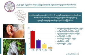 ကရ့ၣ်နံၣ်ကီၢ်စဲၣ် လါအီကူးတလါအတီၢ်ပူၤသုးမီၤစရိၤမၤထီဒါပှၤဂ့ၢ်ဝီခွဲးယၥ်(၃၀)ဘျီဒီး ကမျၢၢ်သံဘၣ်ဒိ(၅၀)ဘျဲၣ်